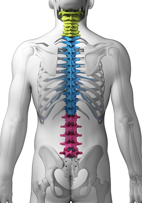 anatomy of complex spine surgery